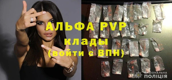 ГАЛЛЮЦИНОГЕННЫЕ ГРИБЫ Тосно