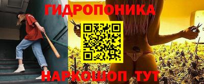 спиды Аргун