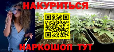 шишки Апшеронск