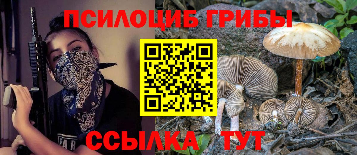 Астрахань  Псилоцибиновые грибы мицелий  Вход с VPN 