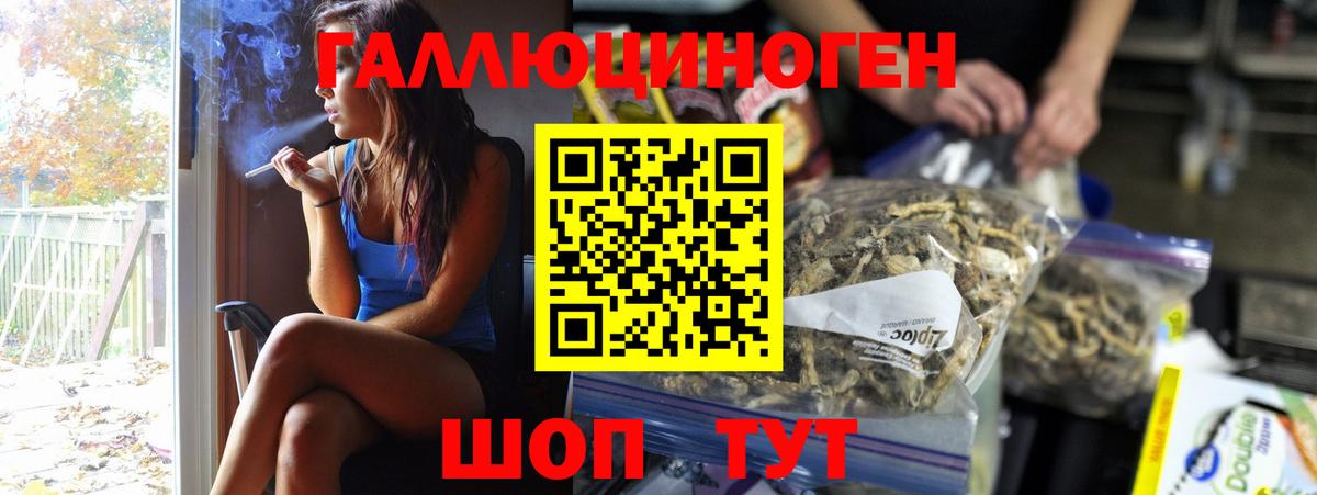 Галлюциногенные грибы Psilocybe Астрахань